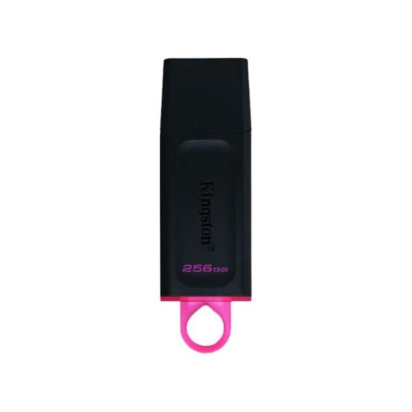 Kingston DataTraveler Exodia - Unidad flash USB - 256 GB